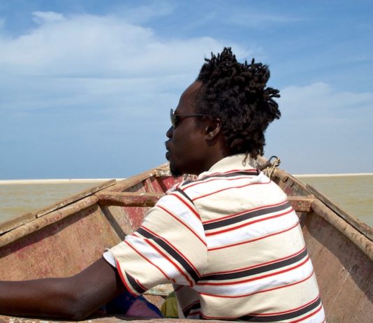 Trekvogels spotten in Langue de Barbarie langue de barbarie senegal