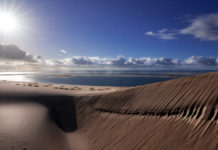 Banc D’ Arguin Banc D’ Arguin mauritanië