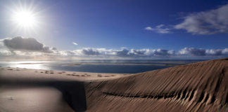 Banc D’ Arguin Banc D’ Arguin mauritanië