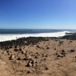 Cape Cross robben kolonie