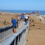 wandelpad cape Cross Namibie