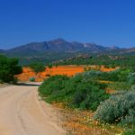 Klipkoppe Namaqualand zuid afrika