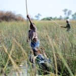 Okavangodelta Botswana