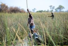 De Okavangodelta Okavangodelta Botswana