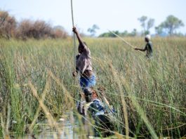 De Okavangodelta Okavangodelta Botswana