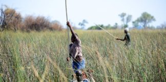 De Okavangodelta Okavangodelta Botswana