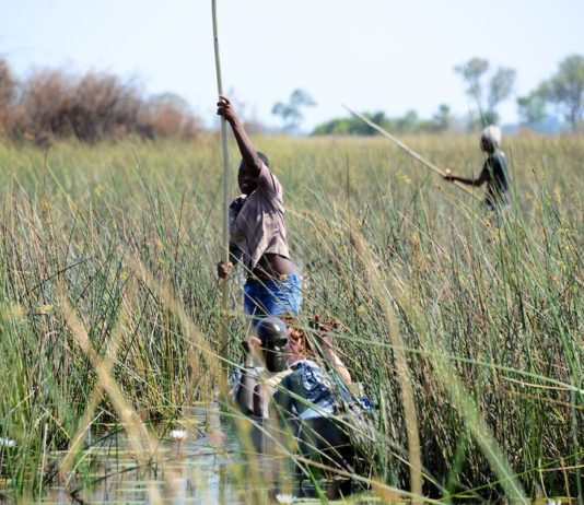 De Okavangodelta Okavangodelta Botswana