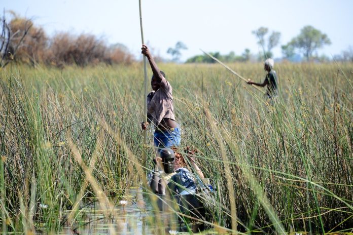 Okavangodelta Botswana