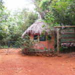 Tacugama chimpanzee sanctuary