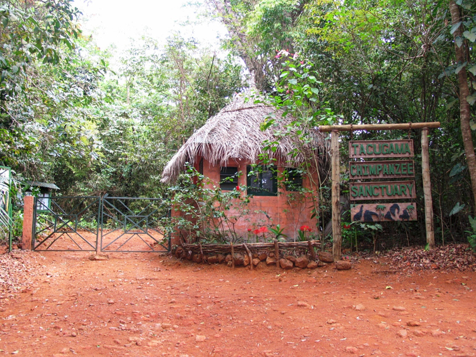 Tacugama chimpanzee sanctuary