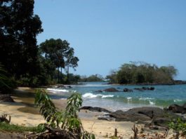 Vijf redenen om Sierra Leone te bezoeken Black Johnson Beach Freetown Sierra Leone