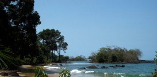 Vijf redenen om Sierra Leone te bezoeken Black Johnson Beach Freetown Sierra Leone