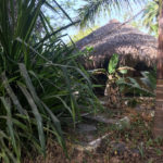 Chez Mikky Niafarang Senegal