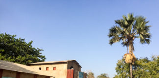 Stichting Opbouw Senegal school Niafarang Senegal