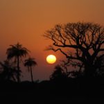 Duinen Niafrang Casamance Senegal