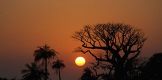 De 10 mooiste bestemmingen in Senegal Duinen Niafrang Casamance Senegal