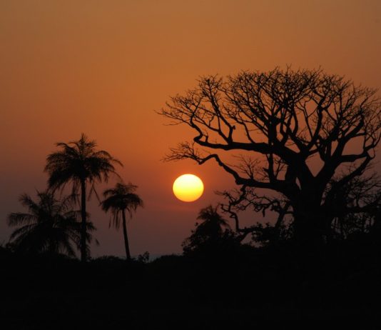 De 10 mooiste bestemmingen in Senegal Duinen Niafrang Casamance Senegal
