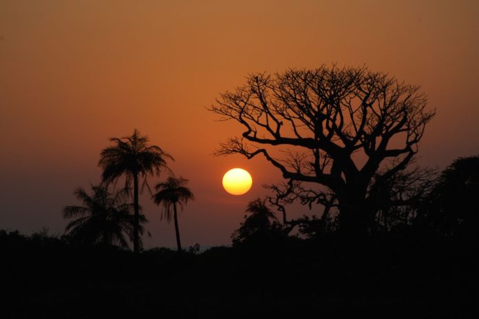 Duinen Niafrang Casamance Senegal