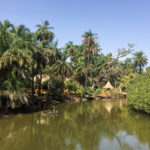 81 Bintang Bolong Abcas Gambia-1