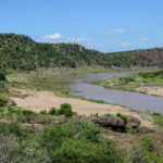 Krugerpark Zuid Afrika Olifantsrivier