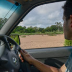 Safari Krugerpark Zuid Afrika