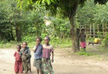 Wereldrecord bomen planten in Ethiopië Wereldrecord bomen planten in Ethiopië