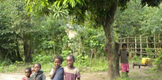 Wereldrecord bomen planten in Ethiopië Wereldrecord bomen planten in Ethiopië