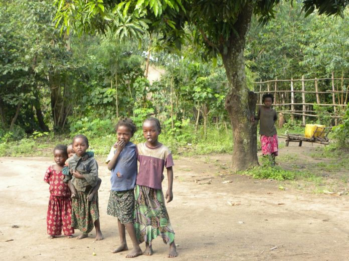 Wereldrecord bomen planten in Ethiopië