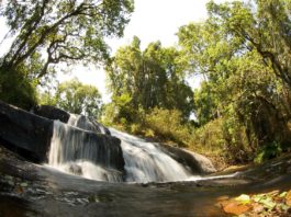 Het Zomba plateau Zomba plateau Malawi