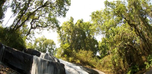 Het Zomba plateau Zomba plateau Malawi