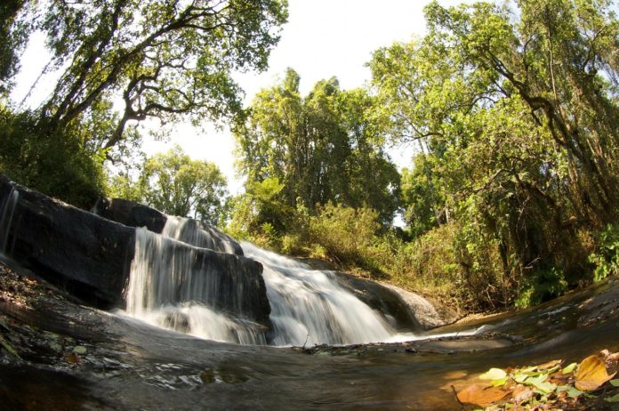 Zomba plateau Malawi