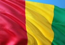 Weetjes over de vlag van Guinee De vlag van Guinee