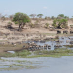 Makgadikgadi Nxai Pan Botswana