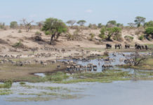 Zoutpannen van Makgadikgadi en Nxai Pan Makgadikgadi Nxai Pan Botswana
