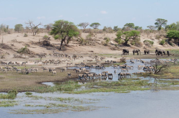 Makgadikgadi Nxai Pan Botswana