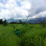Mont Nimba Guinee