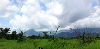 Mont Nimba Mont Nimba Guinee