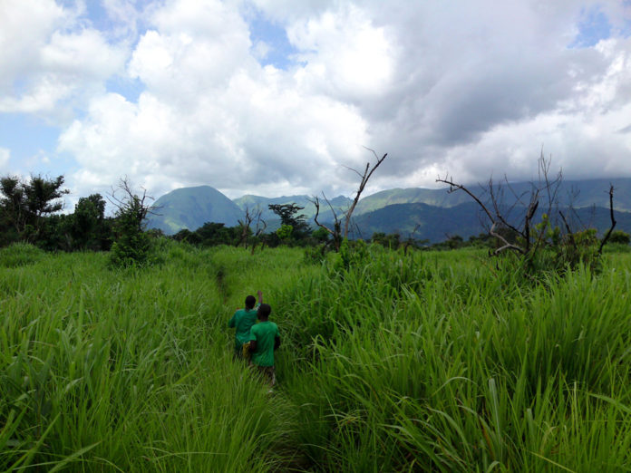 Mont Nimba Guinee