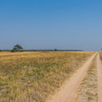 Weg Kafue Zambia