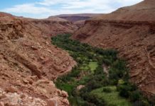 Woestijn oases in de Draa Vallei Draa vallei marokko