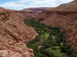 Woestijn oases in de Draa Vallei Draa vallei marokko