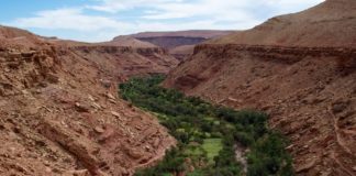 Woestijn oases in de Draa Vallei Draa vallei marokko