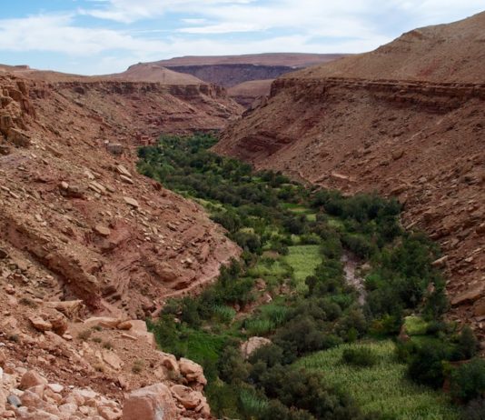 Woestijn oases in de Draa Vallei Draa vallei marokko