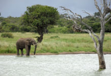 Matusadona National Park Matusadona Zimbabwe