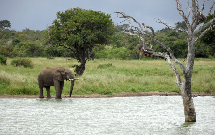 Matusadona Zimbabwe