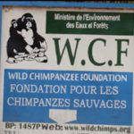 Moyen-Bafing WCF