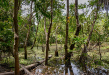 De nationale parken van Gambia Nationale parken van Gambia
