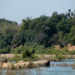 Parc National du Badiar Guinee