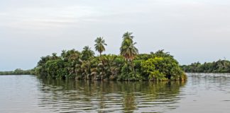 River Gambia National Park River Gambia National Park