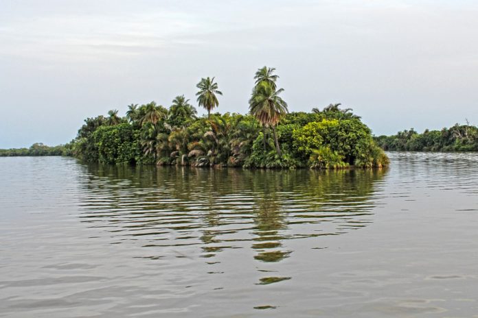 River Gambia National Park